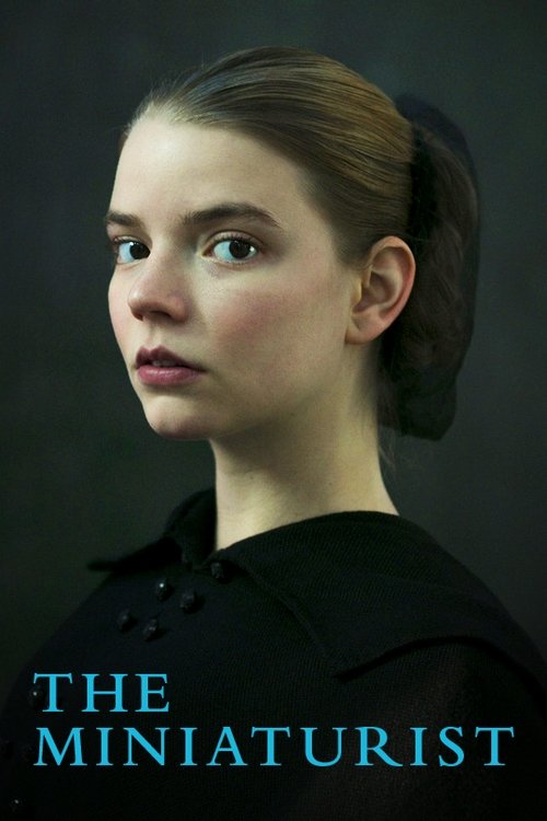 The Miniaturist (2017) TV show poster