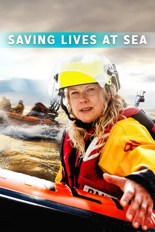 Saving Lives at Sea (2016) TV show poster
