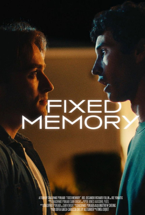Fixed Memory (2024) movie poster