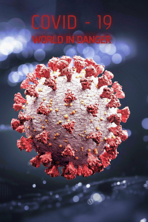 Covid 19: The World in Danger (2020) TV show poster