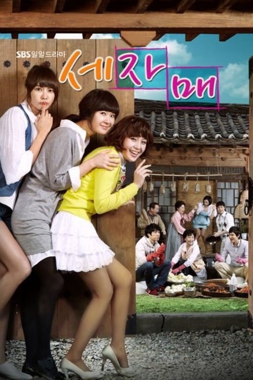 Three Sisters (2010) TV show poster