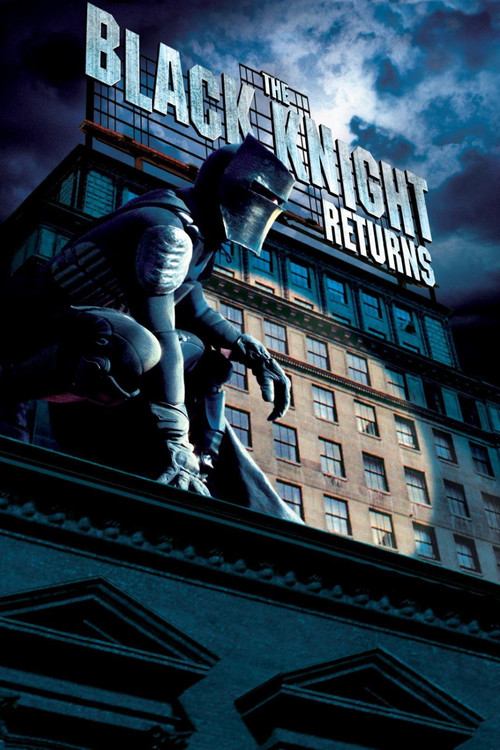 The Black Knight Returns (2009) movie poster