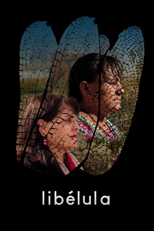 Dragonfly (2026) movie poster
