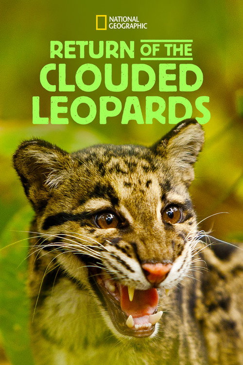 Return of the Clouded Leopards (2012) movie poster