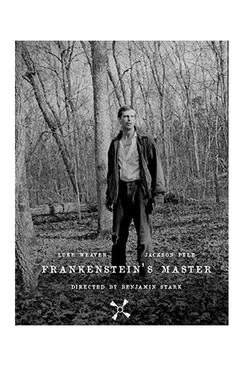 Frankenstein's Master (2013) movie poster