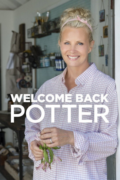 Welcome Back Potter (2016) TV show poster
