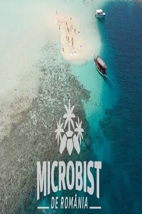Microbist de Romania (2021) TV show poster