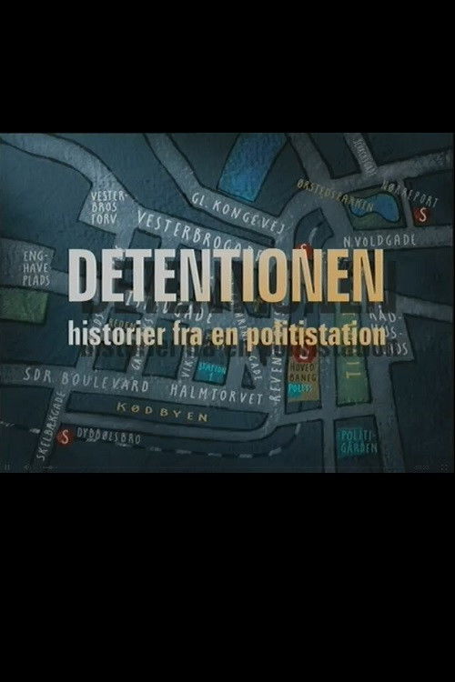 Historier fra en politistation (2000) TV show poster