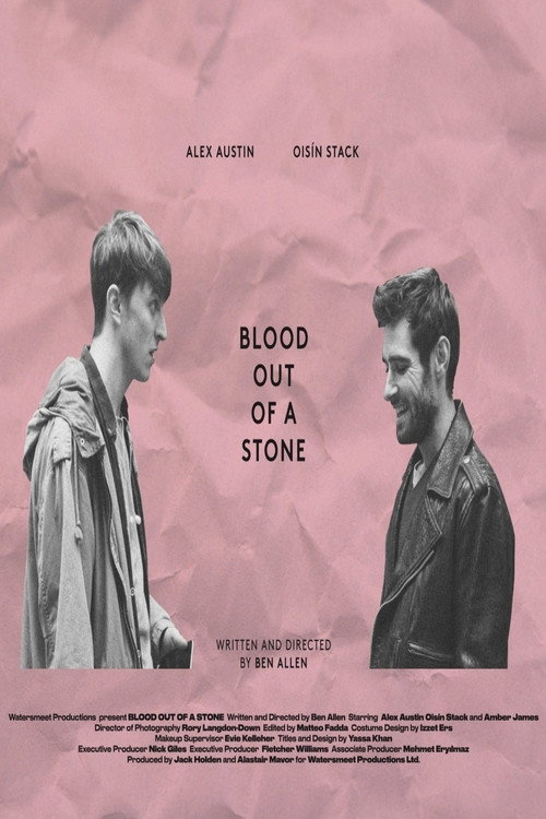 Blood Out of a Stone (2018) movie poster