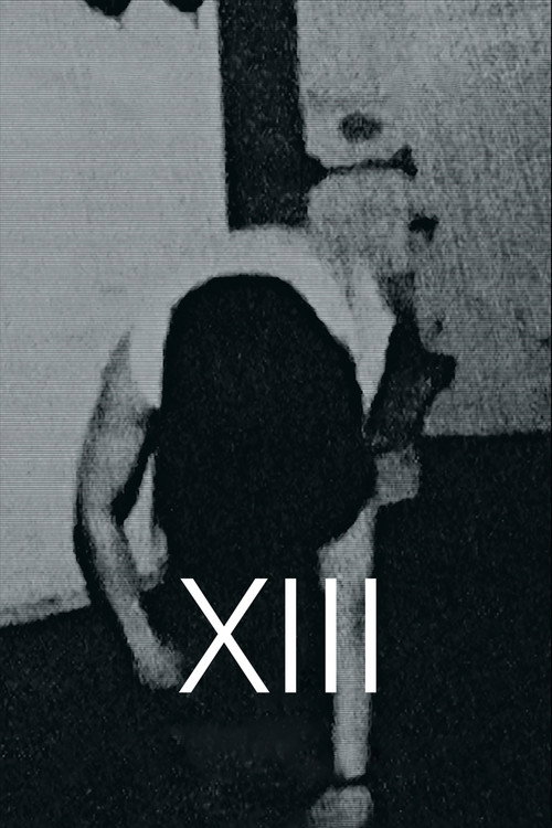 XIII (2019) movie poster