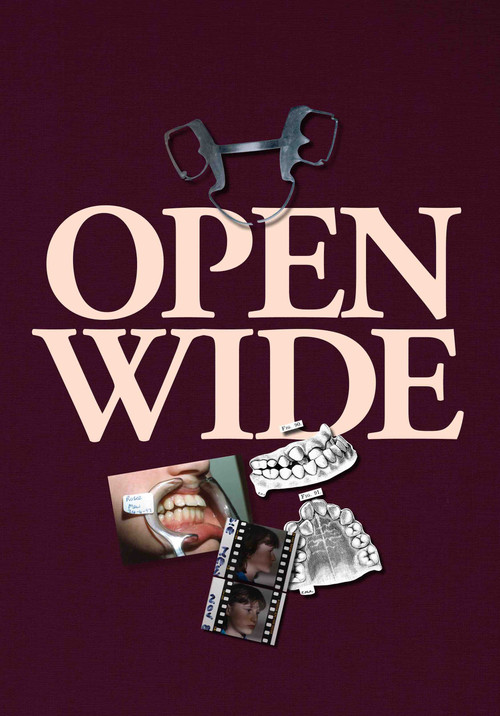 Open Wide (2024) movie poster