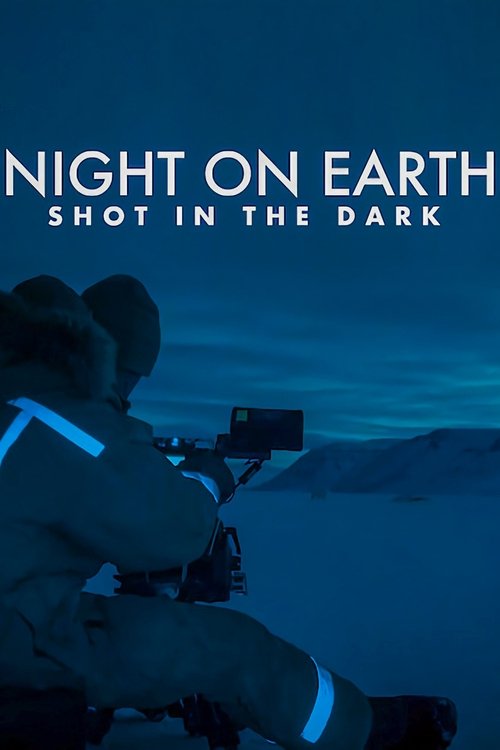 Night on Earth: Shot in the Dark (2020) movie poster