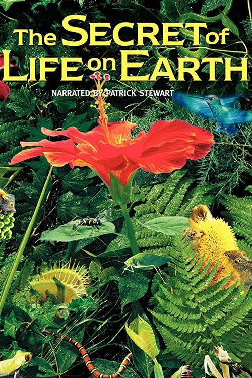 The Secret of Life on Earth (1993) movie poster