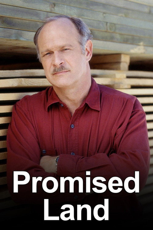 Promised Land (1996) TV show poster