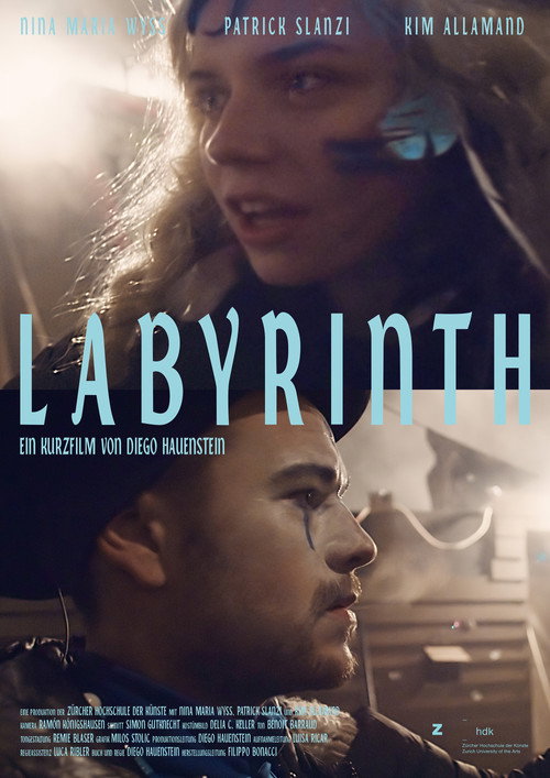 Labyrinth (2016) movie poster