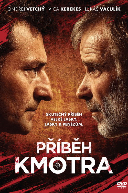Godfather's Story (2013) movie poster