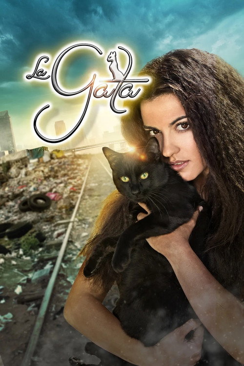 The Stray Cat (2014) TV show poster