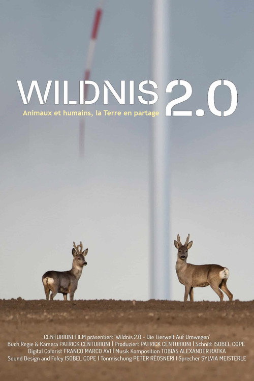 Wildnis 2.0 - Die Tierwelt auf Umwegen (2024) movie poster