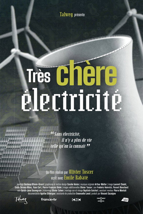 Très chère électricité (2025) movie poster