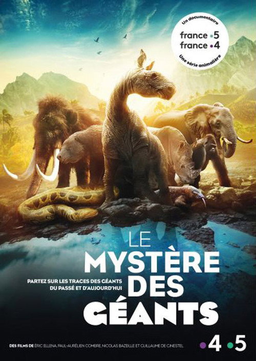The Mysteries of the Giants (2018) movie poster