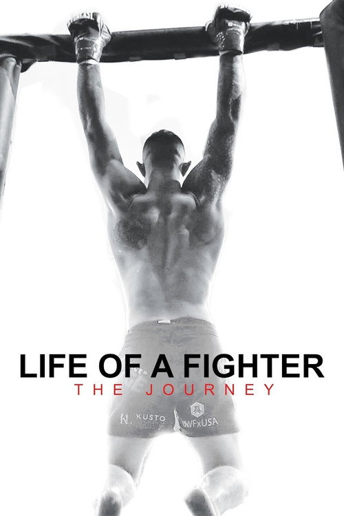 Life of a Fighter: The Journey (2021) movie poster