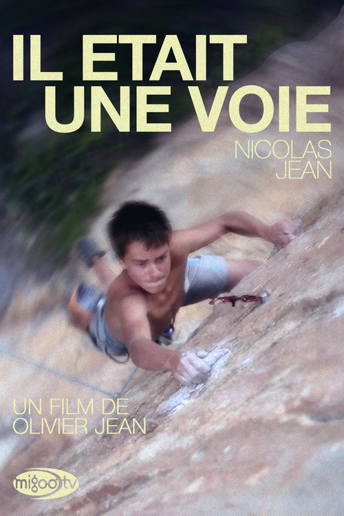 Il Était Une Voie (2012) movie poster