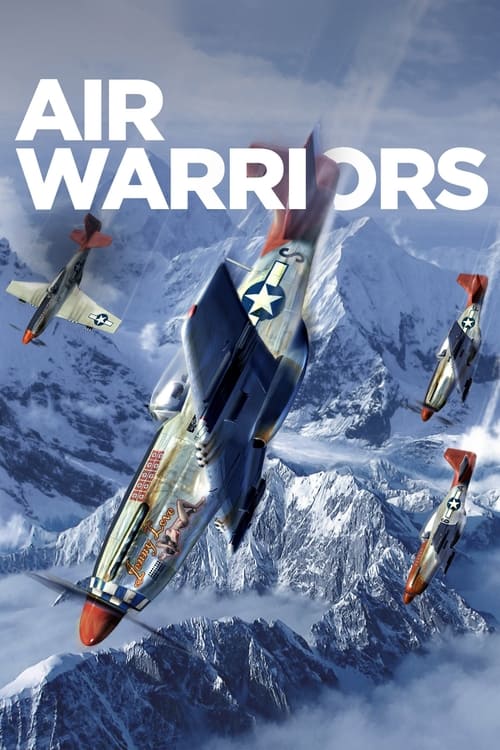 Air Warriors (2014) TV show poster
