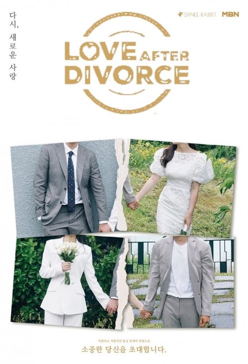 Love After Divorce (2021) TV show poster