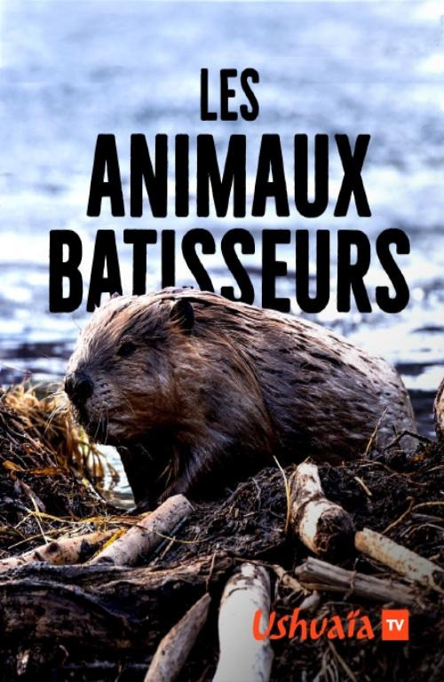 Les Animaux bâtisseurs (2018) movie poster