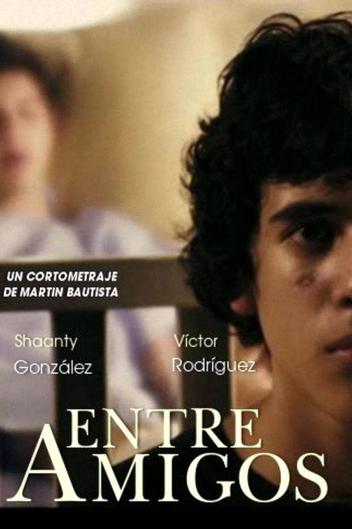 Between Friends (2010) movie poster