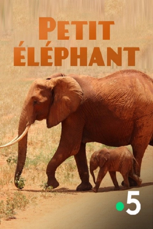 Small Elephant (2015) movie poster