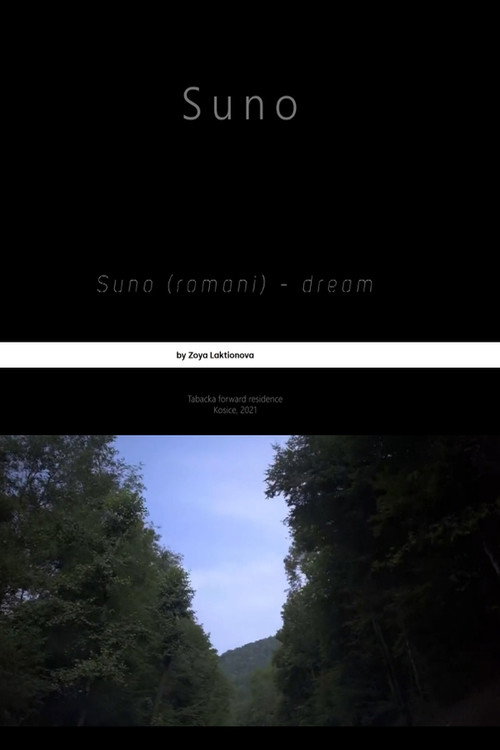 Suno (2022) movie poster