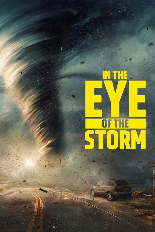 In the Eye of the Storm (2024) TV show poster