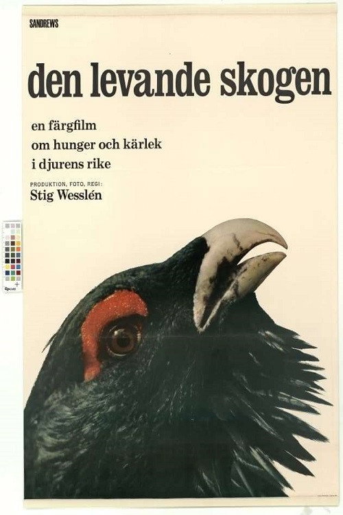 The Living Forest (1966) movie poster