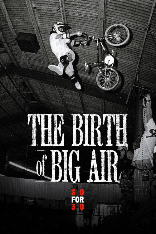 The Birth of Big Air (2010) movie poster