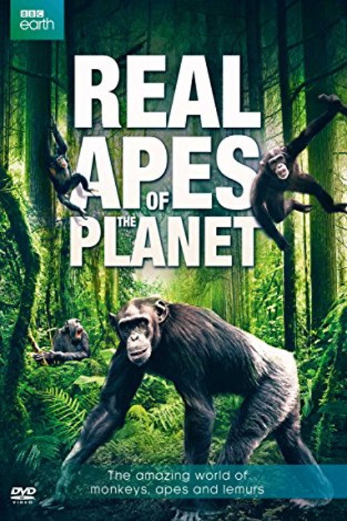 The Real Apes of the Planet (2014) movie poster