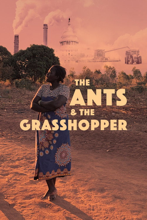 The Ants and the Grasshopper (2021) movie poster