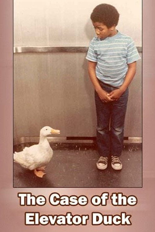 The Case of the Elevator Duck (1974) movie poster