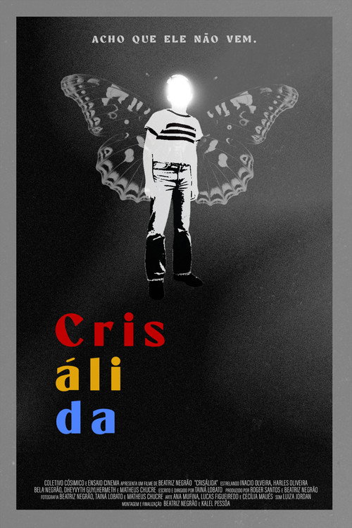 Chrysalis (2024) movie poster
