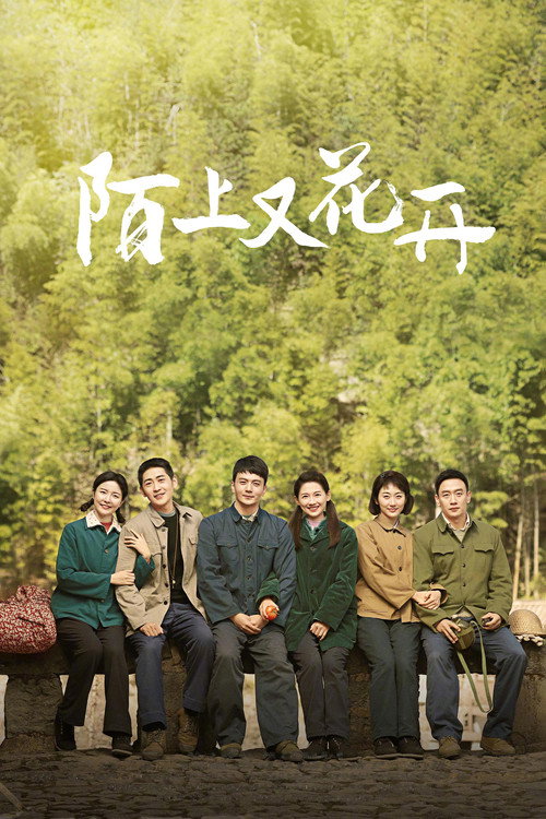 陌上又花开 (2025) TV show poster