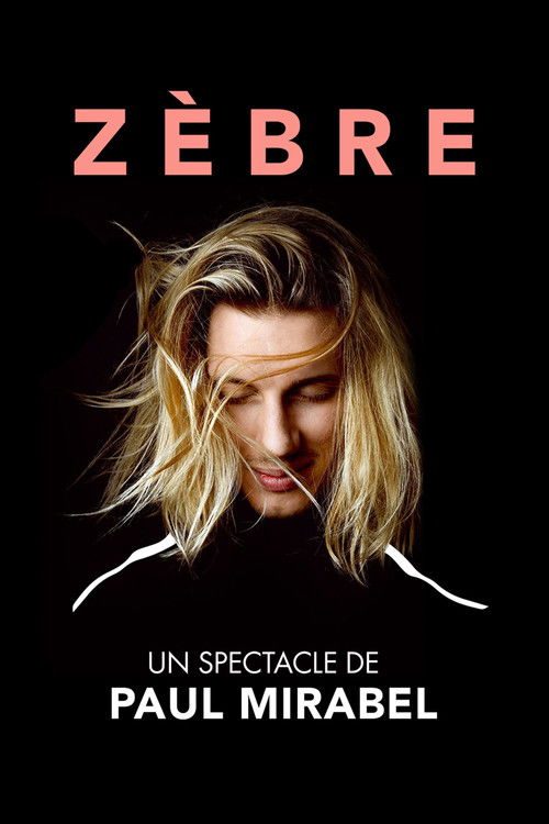 Paul Mirabel : Zèbre (2023) movie poster
