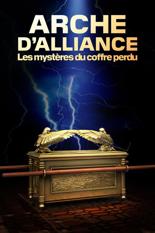 Arche d'alliance : les mystères du coffre perdu (2025) movie poster