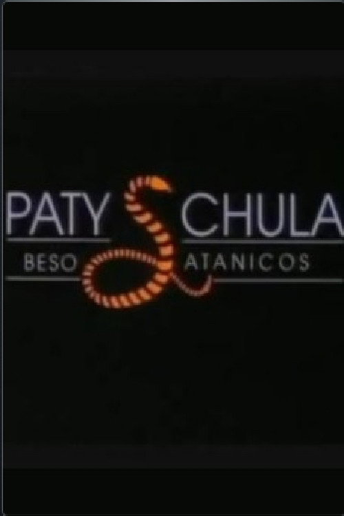 Paty chula (1991) movie poster