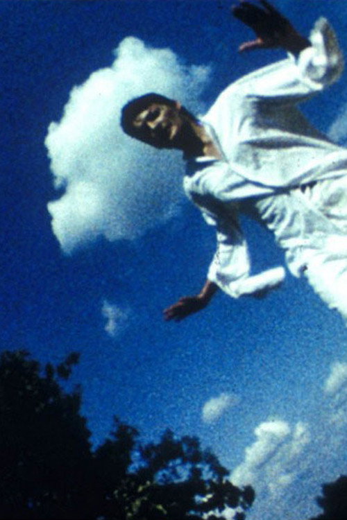 Falling. Desert. Syn (1985) movie poster