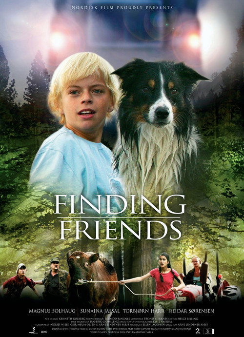Finding Friends (2005) movie poster