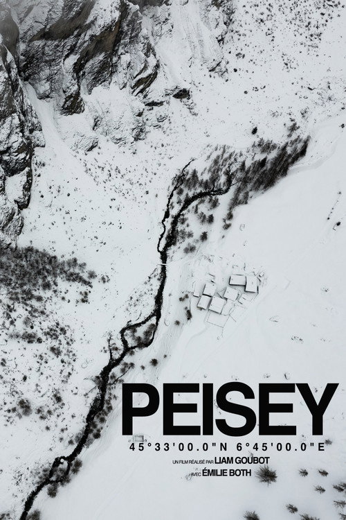 PEISEY (2024) movie poster