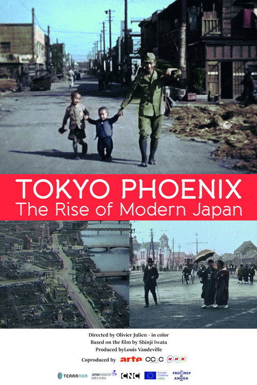 Tokyo Phoenix (2017) movie poster