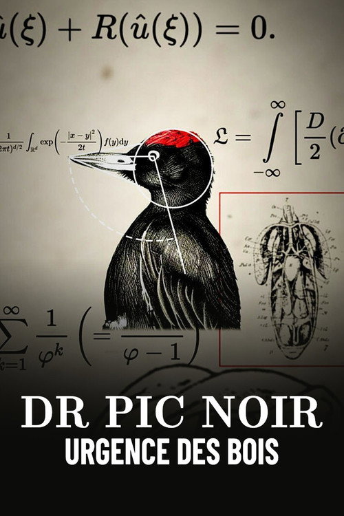 Dr Pic Noir, urgence des bois (2023) movie poster
