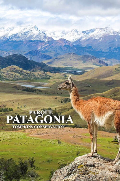 Parque Patagonia (2017) movie poster
