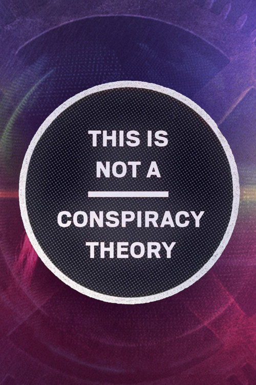 This is Not a Conspiracy Theory (2020) movie poster
